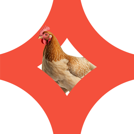 Птица